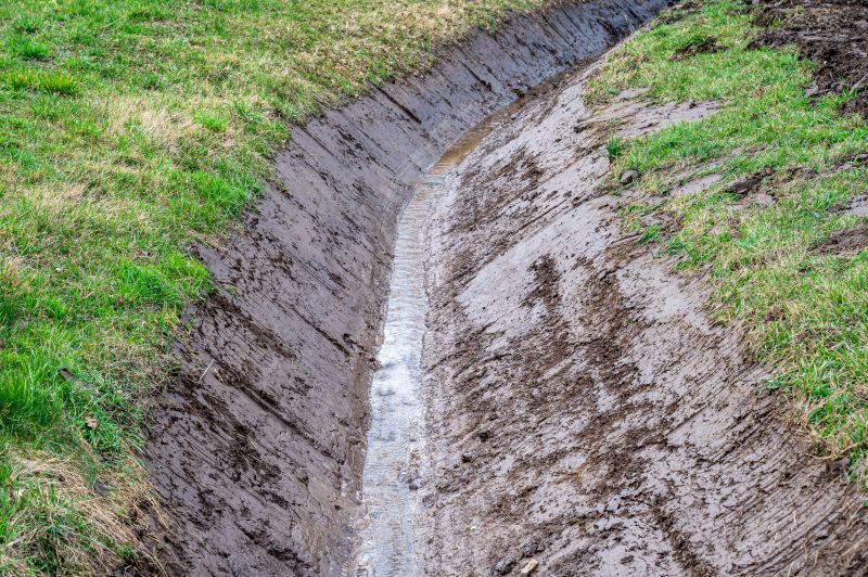 Drain Field Repair Service
